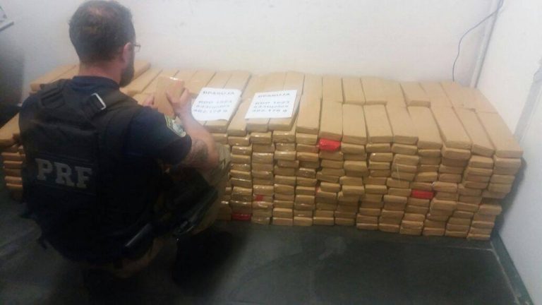 PRF apreende quase meia tonelada de maconha e recupera veículo roubado na Dutra