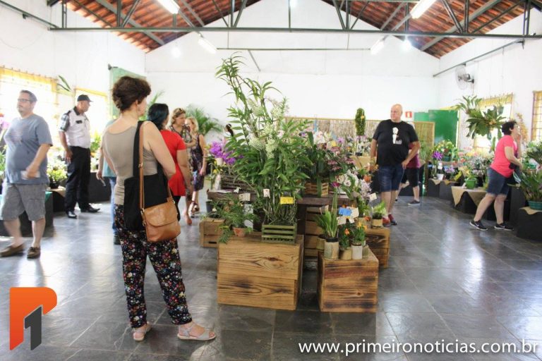 Expo Verão foi um sucesso em Embu das Artes