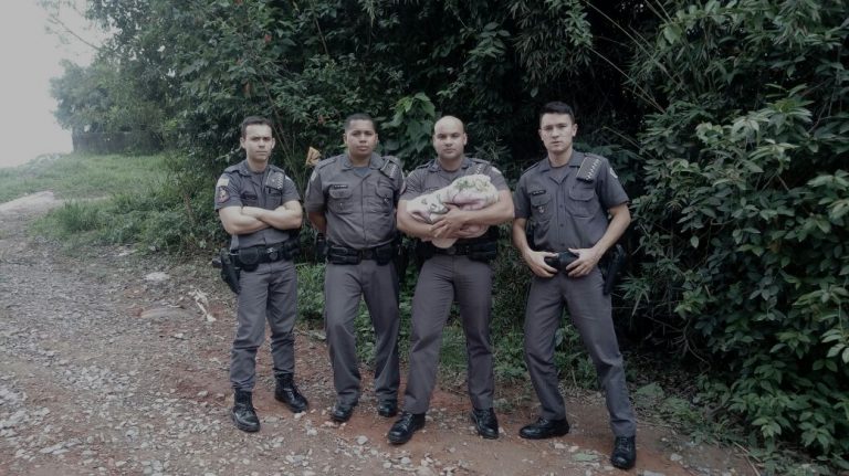 Bebê abandonado no Jd. Mimás é resgatado pela Polícia Militar em Embu das Artes