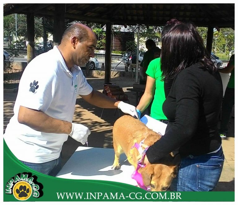Com Carlão da Proteção, INPAMA-CG já vacinou mais de 78 mil animais em menos de cinco anos