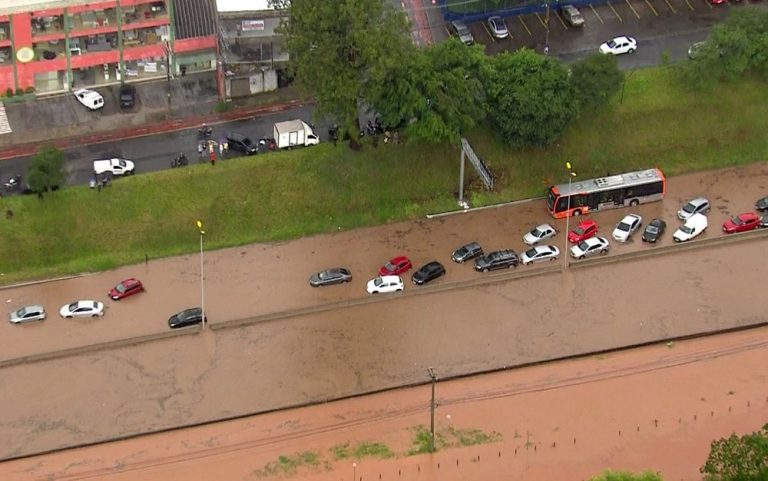 Forte chuva alaga Raposo Tavares e BR 116; árvore caiu em Embu das Artes