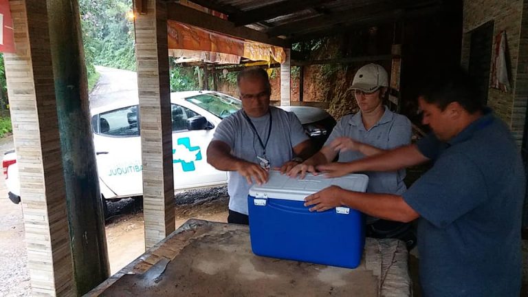 Macaco encontrado morto em Juquitiba