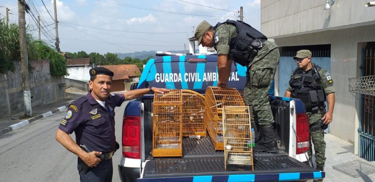 Guarda Ambiental estoura cativeiro de aves