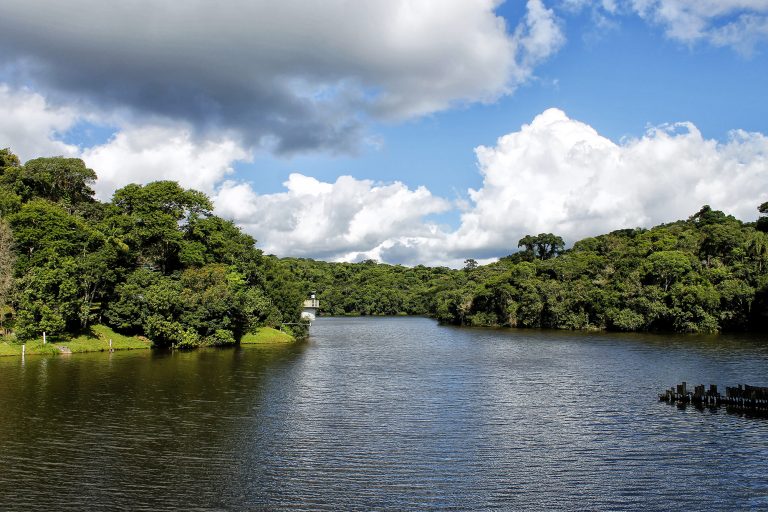 Cotia terá programação especial para marcar o Dia Mundial do Meio Ambiente
