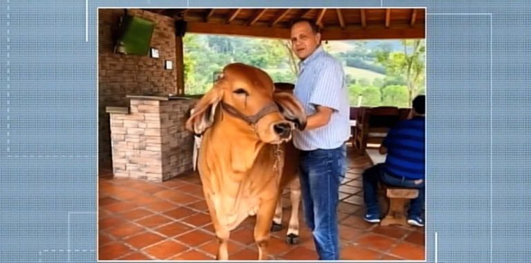 Acusado de cometer crime em Uberaba é preso pela GCM de Embu das Artes