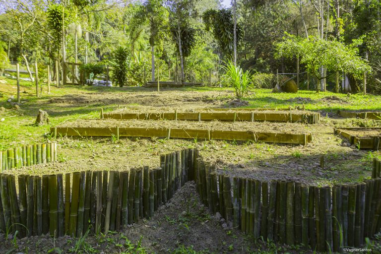 Cotia tem inscrições abertas para curso de Horta Comunitária