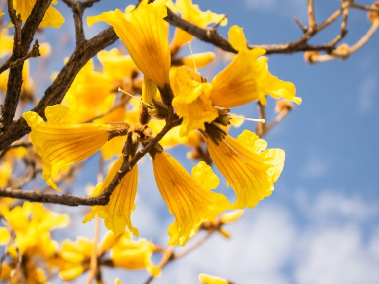 Primavera começa com chuva e tempo frio em toda região