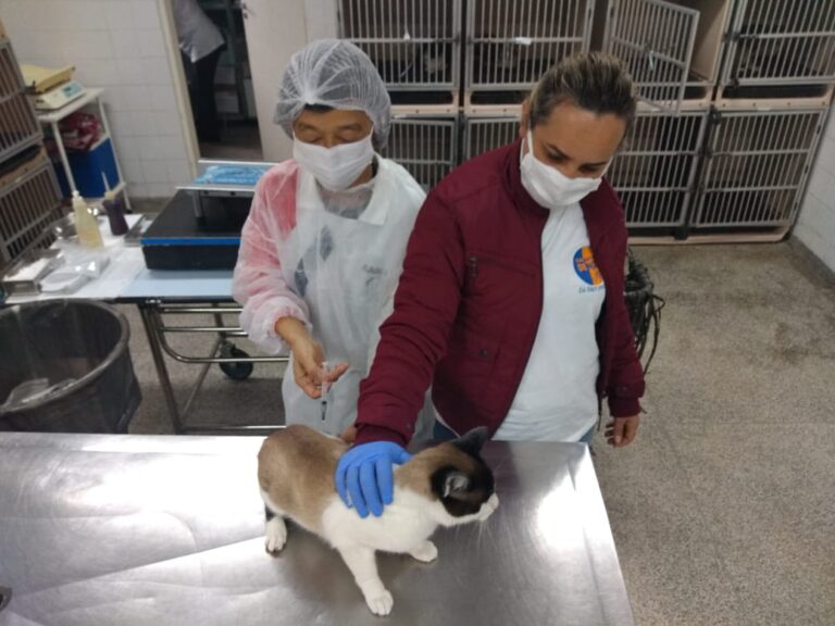 2º Mutirão de Castração de cães e gatos será nos dias 19 e 20 de junho em Taboão