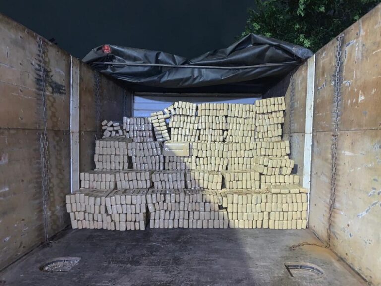 Rota apreende mais de uma tonelada de maconha em Embu das Artes