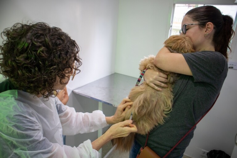 Inscrições para o Vacina Pet no Seu Bairro já começaram no Jardim Salete, em Taboão da Serra